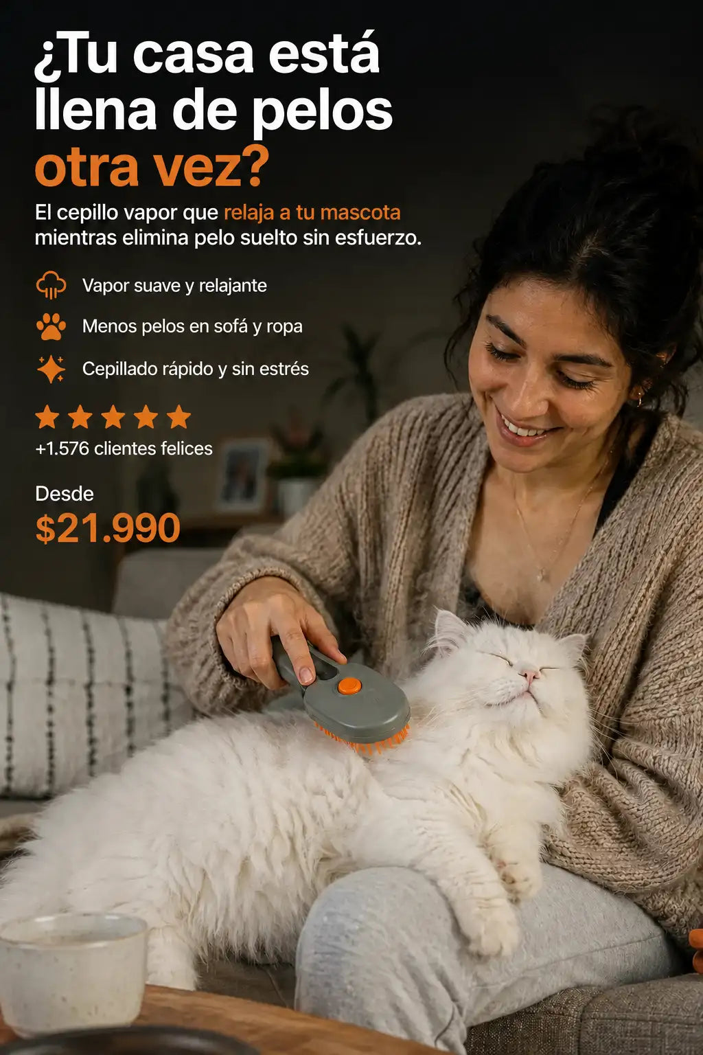 Cepillo Vapor 3 en 1 Perros Gatos Portát